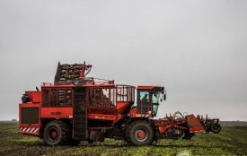 «Це сумашедші втрати»: чому два цукрозаводи області зупиняли роботу?