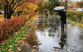 Парасолі беріть із собою: Вінниччину очікують мокрі та вітряні вихідні