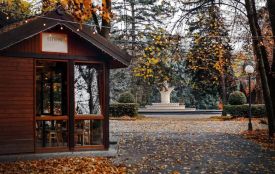 Золота осінь у Вінниці: добірка атмосферних відео з TikTok