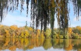 В яких містах Вінниччини людям краще кип'ятити воду? Результати досліджень