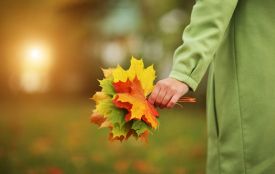 Запаліть свічки та вшануйте померлих родичів. Історія, традиції та заборони 31 жовтня