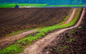 Фермер на Немирівщині «засіяв» 36 гектарів чужої землі