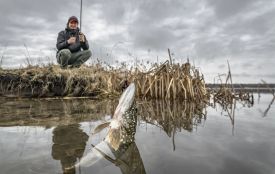 Стартує заборона на вилов риби. «Гаряча лінія» для доносів та повний прайс-лист штрафів