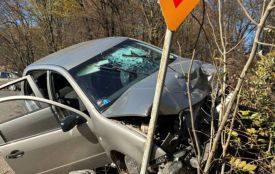 На об'їзному шосе біля Вінниці у ДТП постраждала пенсіонерка