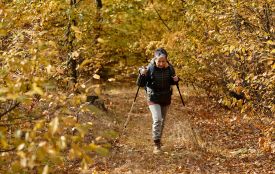 Сьогодні вітаємо Артема та Ірину. Історія, заборони та прикмети 2 листопада