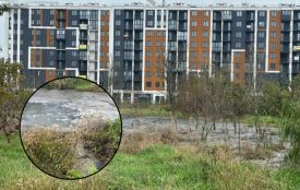 У Зарванцях каналізаційні стоки отруїли землю — директору підприємства оголосили підозру