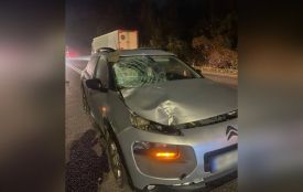 Біля Ксаверівки 36-річна водійка збила пішохода, а в Калинівці водій наїхав на жінку та втік