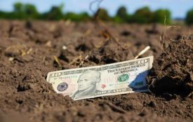 Оформила гектар лісу на себе, а потім продала: вінничанку судитимуть за земельну аферу