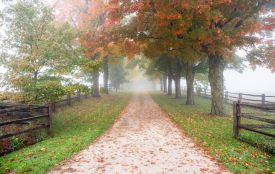 Сьогодні вітаємо Нестора, Ганну та Ольгу. Історія, заборони та прикмети 10 листопада