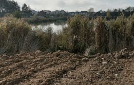Хто знищує прибережні смуги біля Вишенського ставу? Матеріали йдуть до поліції