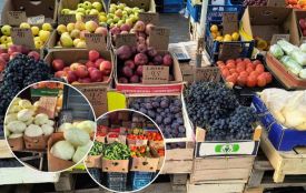 Що і за скільки продають на Привокзальному ринку Вінниці: актуальні ціни на овочі та фрукти