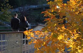 Цей день, 20 листопада: яке сьогодні свято, прикмети та заборони