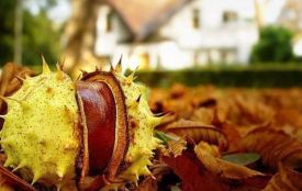 Цей день, 23 листопада: традиції, заборони та прикмети