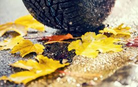 Сьогодні вітаємо Костянтина. Історія, заборони та прикмети 15 листопада