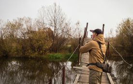 Як спіймати найбільшого коропа та куди риба тікає перед морозами