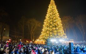 Чи встановлюватимуть у Вінниці цього року головну ялинку? Ось що відповіли у міській раді