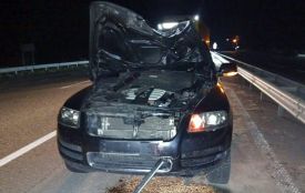 Смертельна ДТП на Звягельщині: 20-річний вінничанин на Volkswagen наїхав на жінку