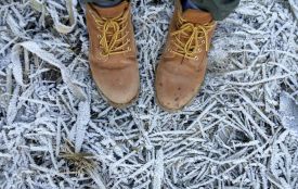 Вінниччину накриє короткочасна зима: йде похолодання з мокрим снігом