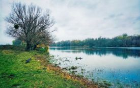 Екологи перевірили Південний Буг: що виявили у воді