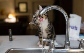 Оперативна інформація для вінничан: де немає опалення, світла та води 21 листопада