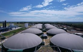 Дигестат від МХП: вінницькі фермери про покращення ґрунтів і врожайність (Новини компаній)