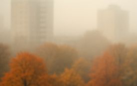 Вінницьку область огорне туман і тепло, якого не було 75 років