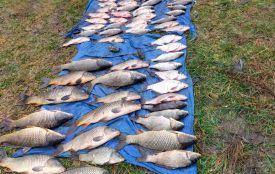 Браконьєр на Південному Бузі попався з трьома сітками. Збитки склали майже 194 тисячі гривень