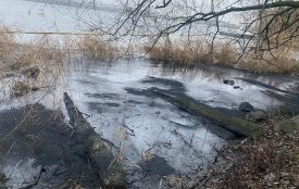 Невідомі викиди біля Ладижинської ТЕС: водосховище вкрили маслянисті плями