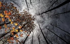 Вихідні на Вінниччині будуть нетипово теплими, але вітряними