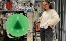 Її не роздивитися неозброєним оком: як виглядає найменша ялинка у світі