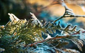 Понеділок без морозів і снігу, але погода на тижні готує сюрпризи