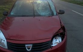 Смертельна ДТП на Барському шосе: пішохід загинув під колесами Dacia