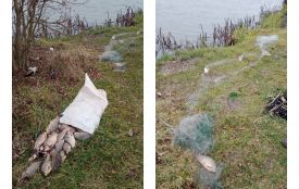 На Південному Бузі біля Хмільника браконьєр завдав збитків на понад 110 тисяч гривень