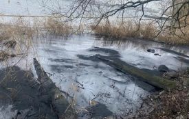 Витік нафтопродуктів на Ладижинському водосховищі пов’язують із наслідками обстрілів ТЕС