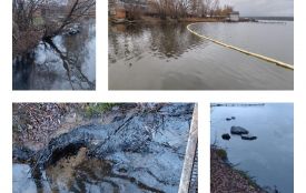 Витік мазуту у Південний Буг: слідчі провели обшуки, відібрали зразки води та ґрунту