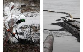 Екологічні наслідки ворожої атаки. У Ладижині очищують річку від нафтопродуктів