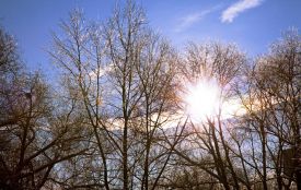 Зима вступає у свої права: сьогодні сонцестояння. Історія, прикмети та заборони 21 грудня