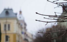 Антициклон Frieda принесе суху погоду: у Вінниці буде без дощу та снігу