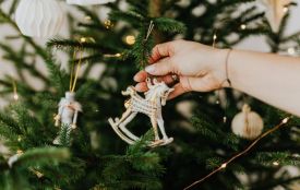 Смерека, ялиця чи сосна: як обрати новорічне дерево для дому