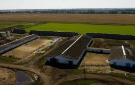 Суд повернув громаді 180 гектарів землі у Жмеринському районі