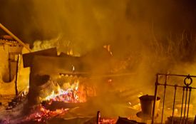 Нічне займання та повалені дерева: як пройшла доба рятувальників області