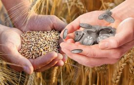 Вінниччина утримує лідерство серед аграрних регіонів України: підсумки року