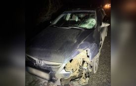 Під колесами Honda загинула пенсіонерка у Тульчинському районі