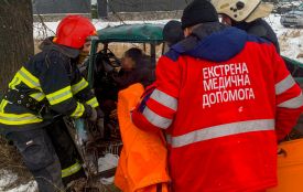 У Немирівській громаді легковик врізався в дерево — загинула пасажирка