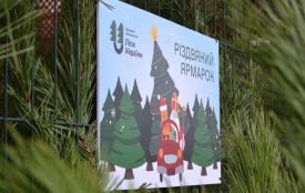 Скільки живих ялинок купили вінничани цього року і за якою ціною