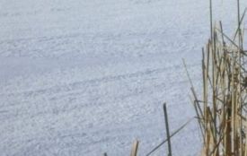 До води є питання. Що показав моніторинг 233 проб на Вінниччині