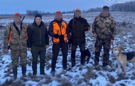 Для збереження рівноваги і запобігання сказу: вперше за 4 роки дозволили відстріл хижих тварин