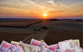 Захопили гектари — заплатили копійки. Як вінницькі суди карають за самовільне зайняття землі?