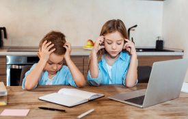 Школи та дитсадки Вінниччини йдуть на онлайн або подовжені канікули: рішення через морози