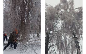 Вісім громад Вінниччини залишилися без світла через обриви ліній